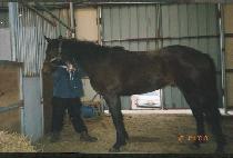 õ����õ (CH��EUNUICH��EUN) ����