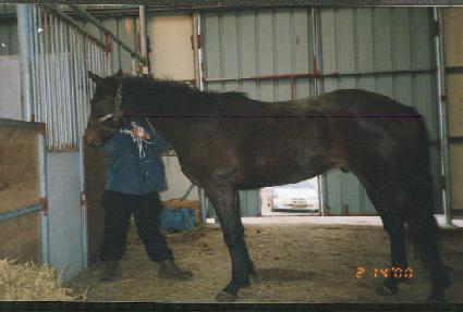 õ����õ ����