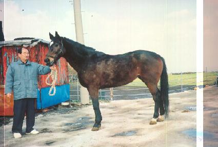 ���ֿ� ����