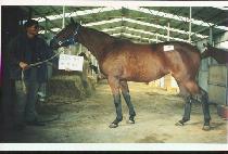 �۾Ǳ� (SONG-AKGUNG) ����