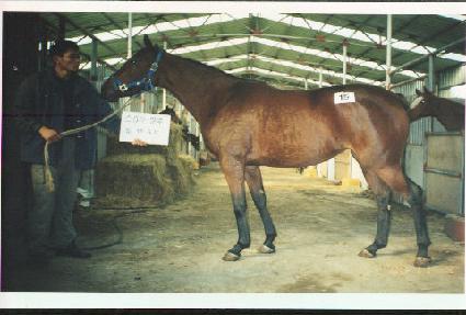 �۾Ǳ� ����