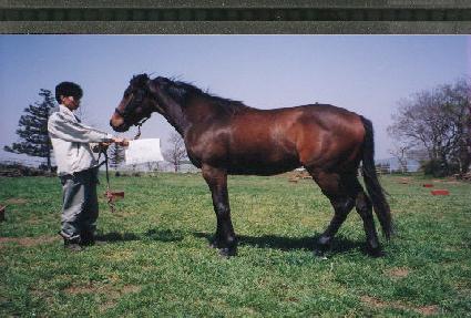 �ڷ� ����