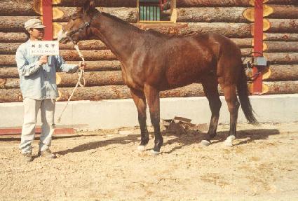 ������ ����