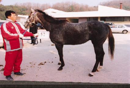 ȫ���� ����