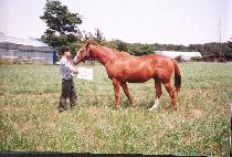 ū���� (K��EUNEOMJI) ����