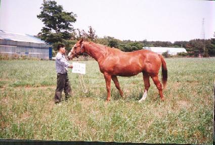 ū���� ����