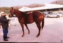 �߾�õ�� (JUNG-ANG CHEONHA) ����