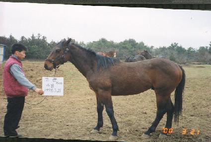 ��밭�� ����