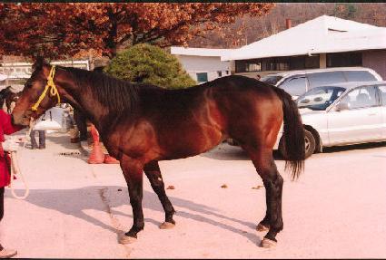 �������Ʈ ����