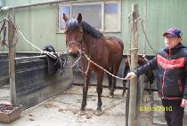 �ȴ�ȣ�� (PALDANG HOSU) ����