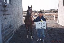 �ش޳� (HAEDALLE) ����