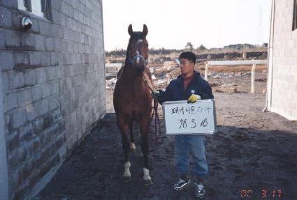 �ش޳� ����