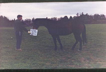 ���ֿ� ����