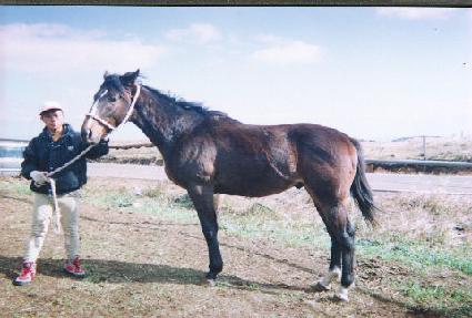 ���ǵ��� ����