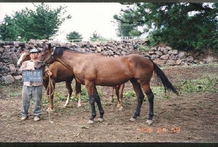 ���� ����