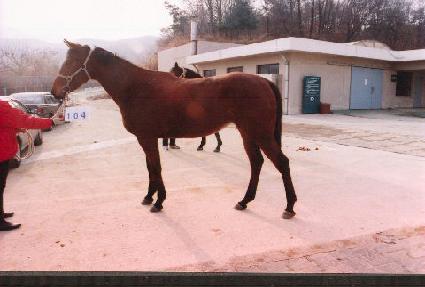 ���ǽ�Ʈ ����