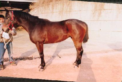 �¹� ����