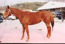 ��뿵�� (DANGDAE YEONG-UNG) ����