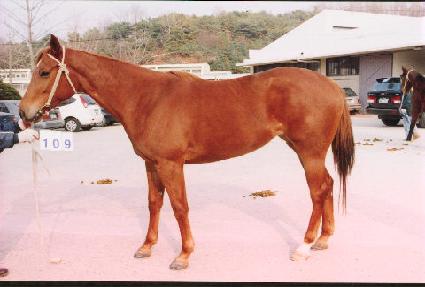 ��뿵�� ����