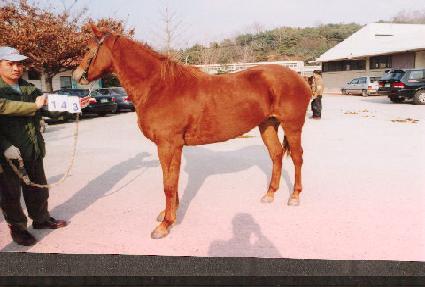 Ű�޶� ����