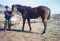 ���̹ٴ� (KAENG-I PADA) ����