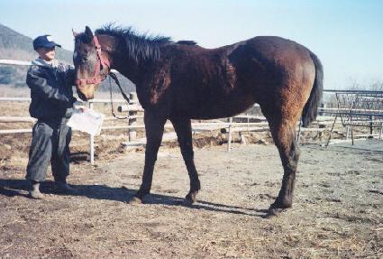 ���̹ٴ� ����