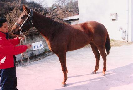 õ��ȣ�� ����