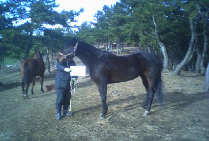 õ���� ����