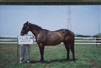 ť�� ����