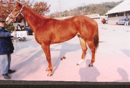 �ȼҸ� ����