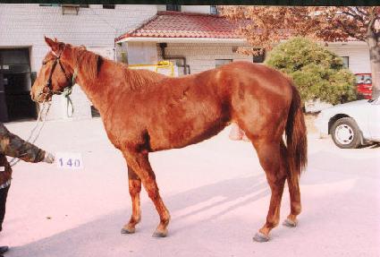 �Ŀ����� ����