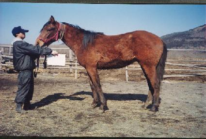 �������� ����