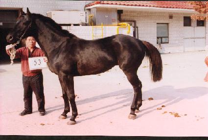 ������ ����