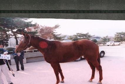 �޸��� ����