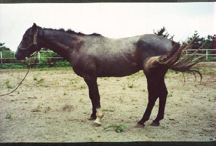 û�̸� ����