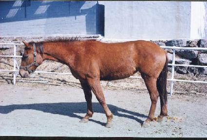 �뼱�� ����