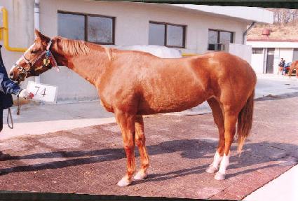 �ָ��̼� ����