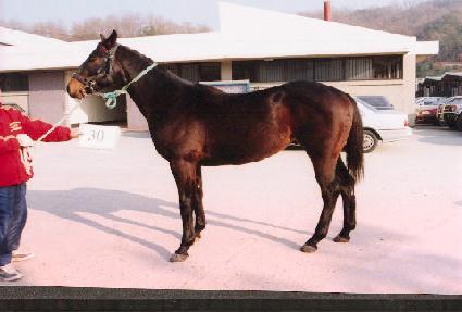 ������� ����