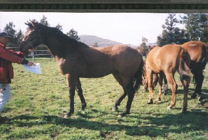 �չٶ� ����