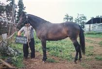 �һ� (SOSAN) ����