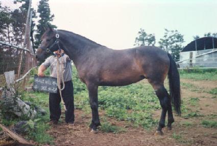 �һ� ����