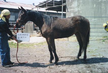 ĥ���� ����