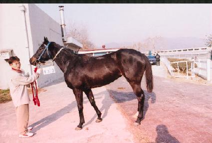 ������ġ ����