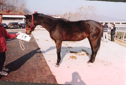 ���� ����