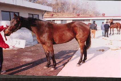 �����̽�Ÿ ����