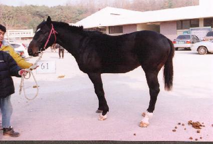 ���̴׽�Ÿ ����