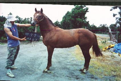 �б� ����