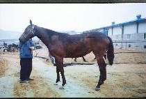 ���� (MYEONGJIN) ����