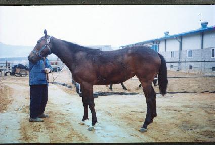 ���� ����