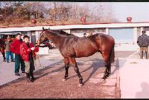 ����£�������ڸ� ����